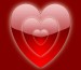 mini-hearts2.jpg
